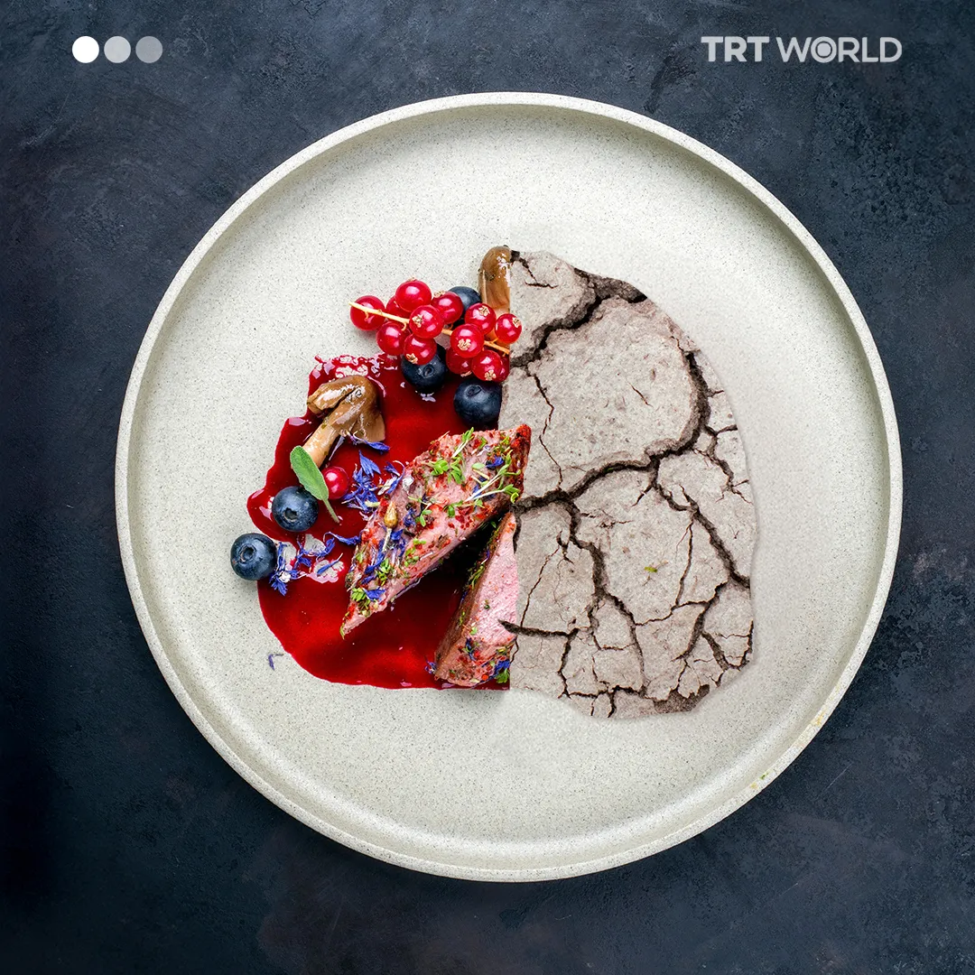 Food security or food safety